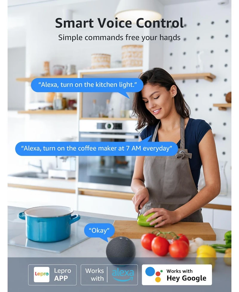 Lepro P1 Indoor Smart Plug, 15A 1800W, Timer, Gruop Control, Enable Alexa Google Assistant, Bluetooth 2.4Ghz Wi-Fi Only