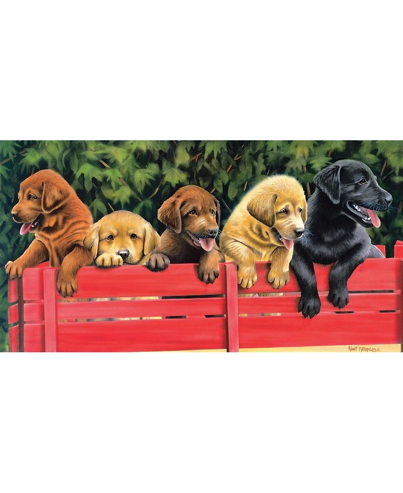 SunsOut All Aboard 500 piece Jigsaw Puzzle for Adults