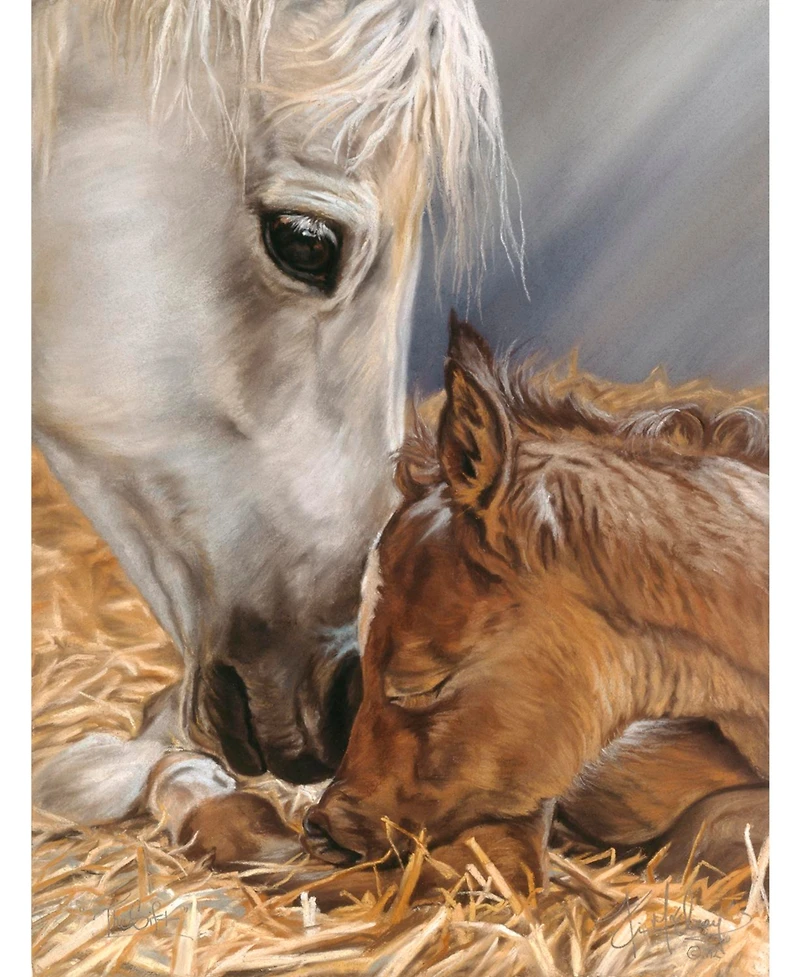 SunsOut Gift of Nature 500 piece Jigsaw Puzzle for Adults