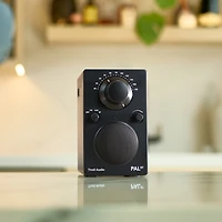 Tivoli Audio Pal Bt Portable Bluetooth Radio V3
