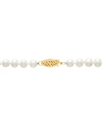 Honora White Cultured Freshwater Pearl (5-6mm) Necklace in 14k Yellow Gold