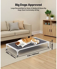 Cozito Aluminum Portable Elevated Pet Cot, Large, Gray