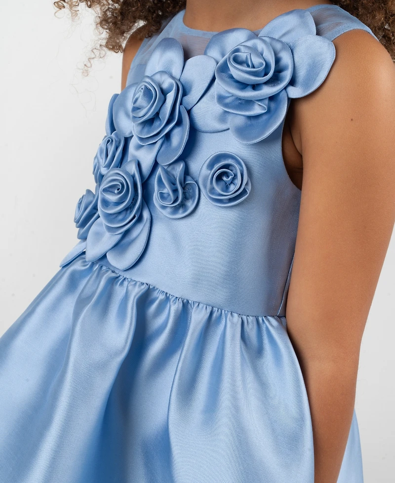 Rare Editions Girls' 2T-6X Illusion Neck 3D Rosettes On Bod Mikado Dress