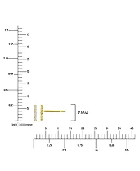 Macy's 14k Yellow Gold Linear Stud Earrings