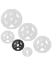 Philosophy Gym Set of 2 Rubber Coated 2-inch Olympic Grip Weight Plates ( Lb each) for Weightlifting