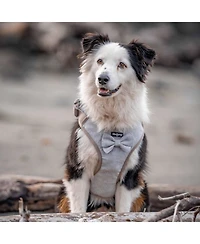 Blueberry Pet Textured Tweed Dog Harness Vest