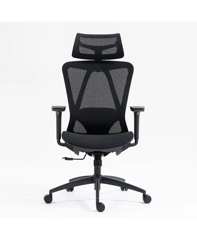 Boyel Living Ergonomic Mesh Office Chair, High Back Desk Chair with 3D Armrests, Up&Down Lumbar Support, Swivel Computer Task Chair