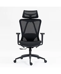 Boyel Living Ergonomic Mesh Office Chair, High Back Desk Chair with 3D Armrests, Up&Down Lumbar Support, Swivel Computer Task Chair