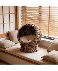 Zeus & Ruta Elevated Cat Egg Chair