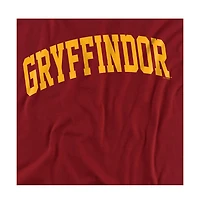 Harry Potter Men's Arched Gryffindor T Shirt