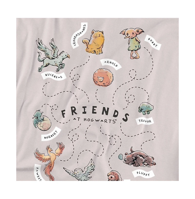 Harry Potter Big & Tall Friends At Hogwarts T Shirt