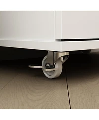 2-door shoe cabinet with Adjustable shelves, versatile storage, sturdy and durable, universal wheel design, four wheels, two brakes,black ra