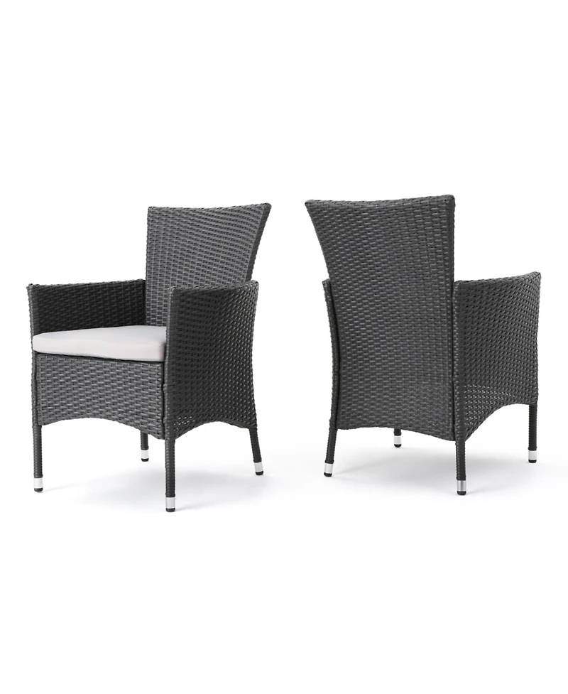 Flynama Set of 2 Malta Tubular Stainless Steel Dining Chairs Modern Linear Design Blended Style for Reception Lounge Living Area
