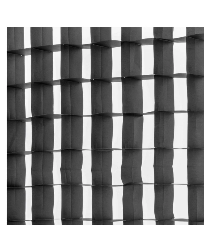 Westcott 40-Degree Egg Crate Grid for Rapid Box Switch 3x4