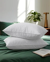 Unikome European Goose Down Feather 2-Pack Pillows, King