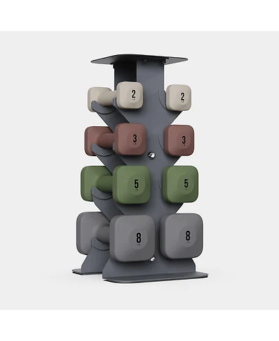 WeGym SafeGrip Dumbbells Lower Set with Light Rack - 2, 3, 5