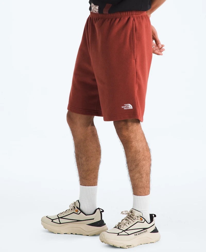 The North Face Men's Evolution Simple Dome Regular-Fit Shorts