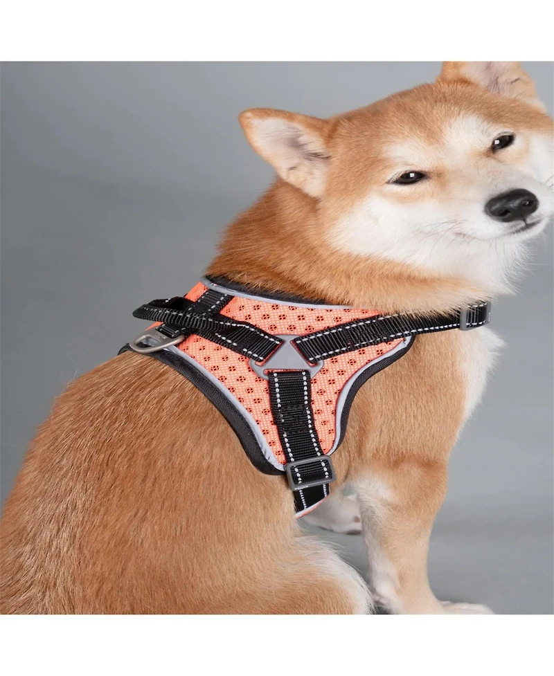 Aostirmotor High-Performance Sport Dog Harness “Helios Scorpion”