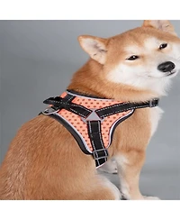 Aostirmotor High-Performance Sport Dog Harness “Helios Scorpion”