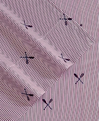 Nautica Coxswain Stripe Printed Microfiber -Pc. Sheet Set