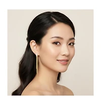 Rachel Glauber Brilliant 14K Gold Plated Cz Linear Drop Earrings