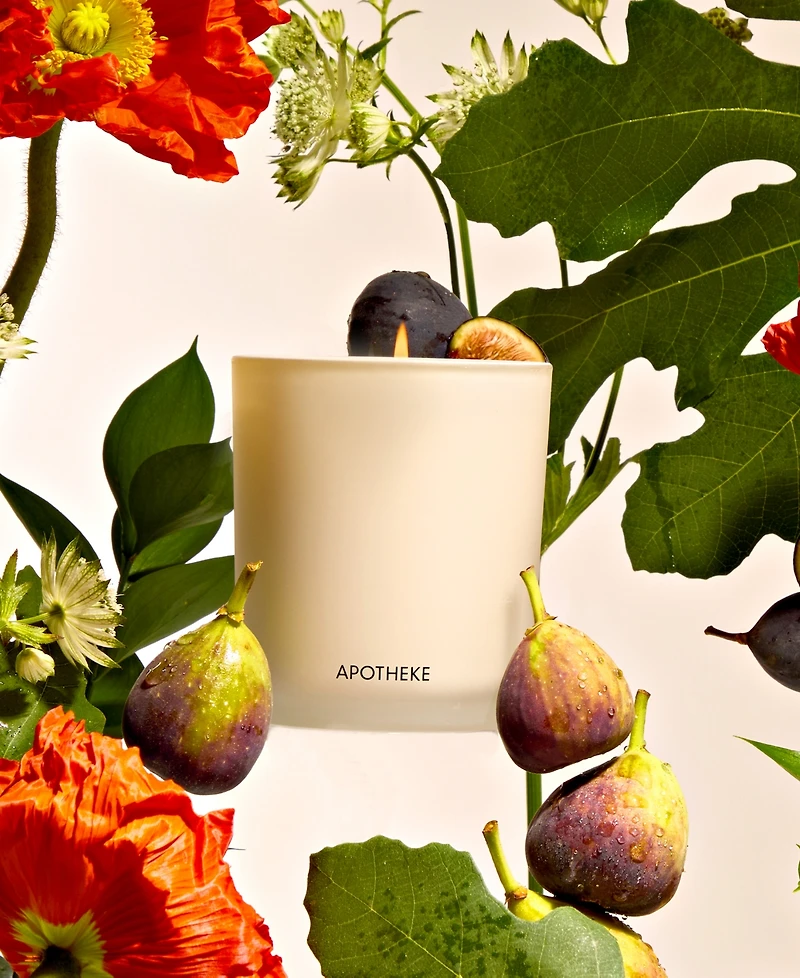 Apotheke Fig and Olive Leaf Classic Scented Candle, 10.5 oz.