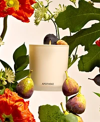 Apotheke Fig and Olive Leaf Classic Scented Candle, 10.5 oz.