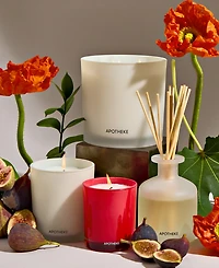 Apotheke Fig and Olive Leaf Reed Diffuser, 6.7 oz.