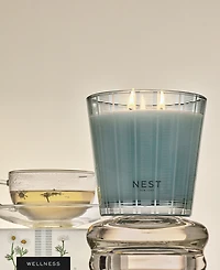 Nest New York Chamomile and Driftwood 3-Wick Candle, 21.1 oz.