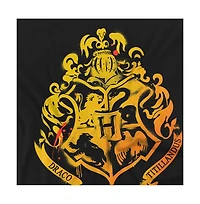 Harry Potter Men's Hogwarts Stencil T Shirt
