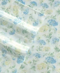 Laura Ashley Printed Satin Edwina 4-Pc. Sheet Set