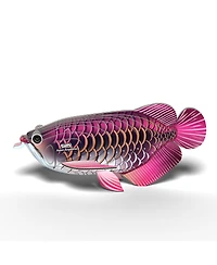 Eugy Asian Arowana 3D Puzzle
