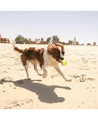 Magicorange Pack of 20 Low Compression Training Tennis Balls for Kids and Beginners with Durable Felt and Mesh Carrying Bag