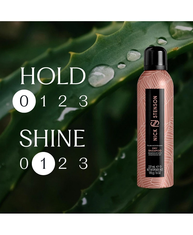 Nick Stenson Beauty Dry Shampoo Try-Me