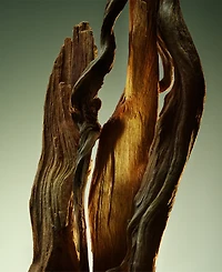 Bvlgari Man Wood Essence Parfum, 5 oz.