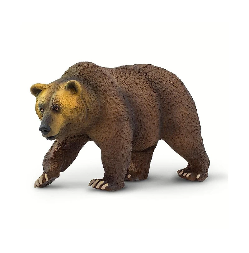 Safari Ltd. - Grizzly Bear