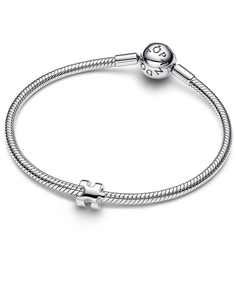 Pandora Puzzle Piece Mini Charm