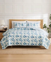 Jessica Simpson Floral Braelyn 3-Pc. Quilt Set