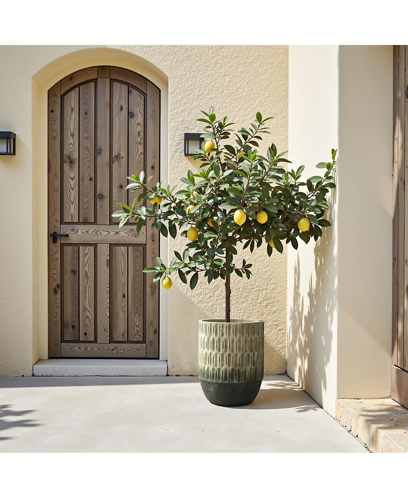 LuxenHome Old-World Brown with Green Bottom 16.5-Inch Tall Round Cement Planter