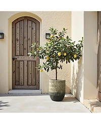 LuxenHome Old-World Brown with Green Bottom 16.5-Inch Tall Round Cement Planter