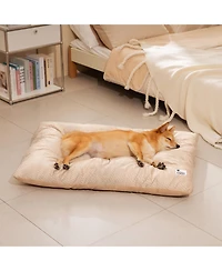 FunnyFuzzy Dual-Sided Plush Washable Dog Pad