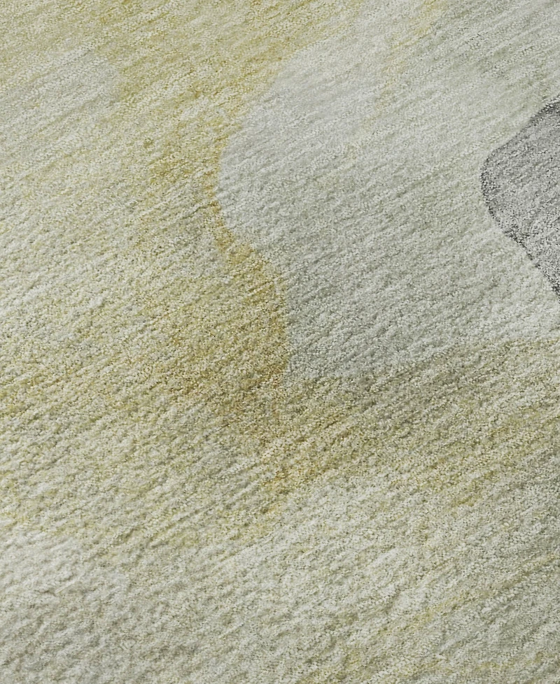 Addison Mayfield AMF2109 10'x14' Area Rug
