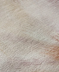 Addison Mayfield AMF2096 8'x10' Area Rug