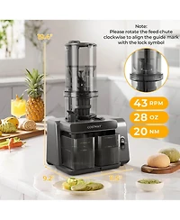 Costway Cold Press Juicer Machine Professional Slow Masticating Juicer with Reverse Button