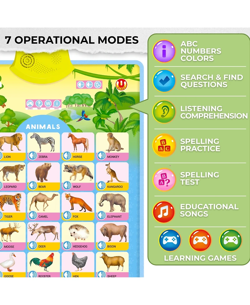 Quokka Educational Toys for Kids 5-7 Year Old - Set of 4 Vertical 4 Learning Wall Chart