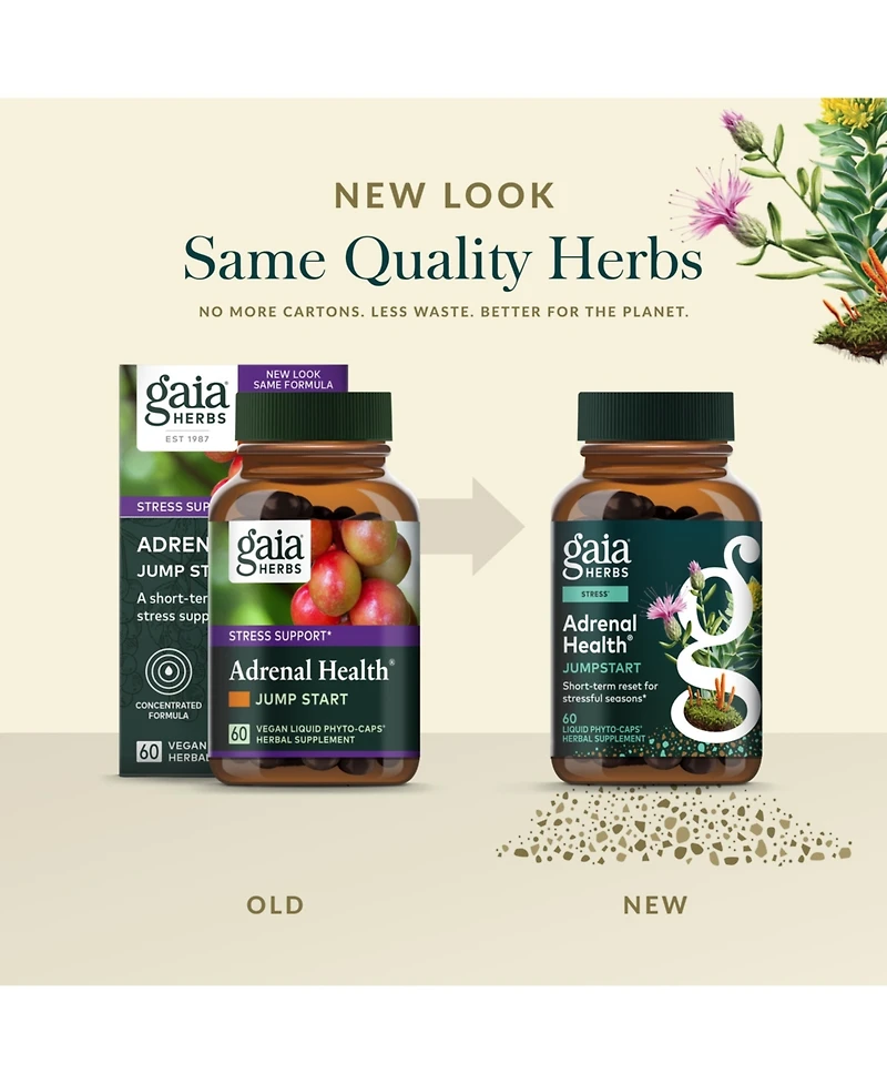 Gaia Herbs Adrenal Health Jump Start - Helps Sustain Healthy Energy and Stress Levels - With Cordyceps, Schisandra, Rhodiola, and Licorice