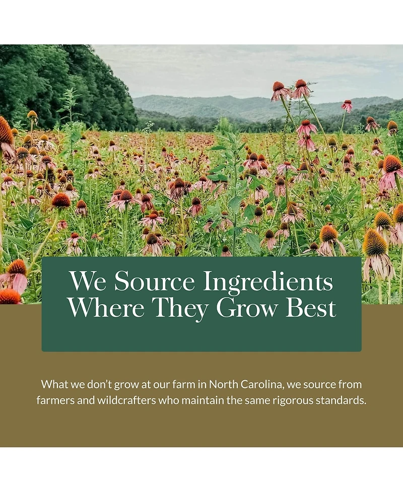 Gaia Herbs Mighty Lungs - Lung Support Supplement to Help Maintain Overall Lung & Respiratory Health