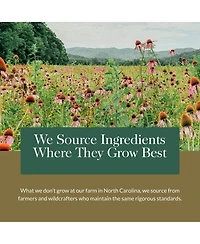 Gaia Herbs Mighty Lungs - Lung Support Supplement to Help Maintain Overall Lung & Respiratory Health