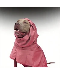 Aronkl Dog Raincoat - Waterproof, Windproof, Reflective, Breathable, Coverage