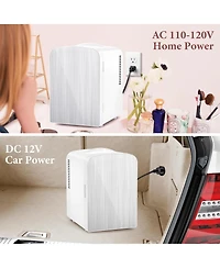 Antarctic Star Brushed Stainless Steel Mini Fridge, 4L Portable Cooler (Ac/Dc)